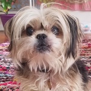 Meet your Posher, Leah